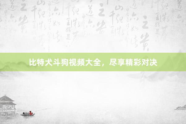 比特犬斗狗视频大全，尽享精彩对决