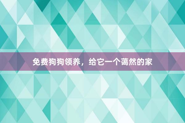 免费狗狗领养，给它一个蔼然的家